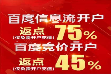 百度推广案例：关键词优化与品牌推广