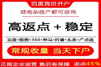 百度推广费用投入与用户转化路径的优化案例